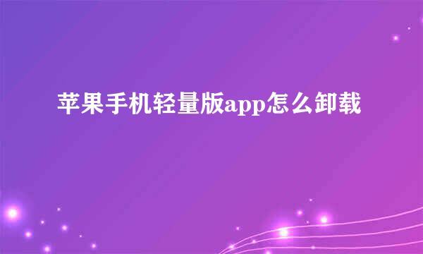 苹果手机轻量版app怎么卸载