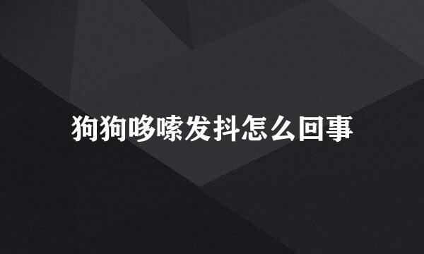 狗狗哆嗦发抖怎么回事