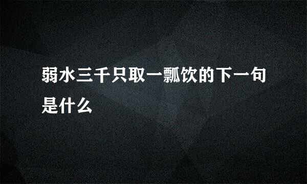 弱水三千只取一瓢饮的下一句是什么