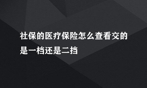 社保的医疗保险怎么查看交的是一档还是二挡