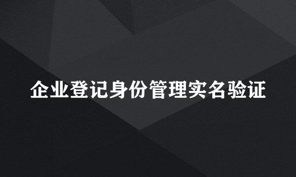 企业登记身份管理实名验证