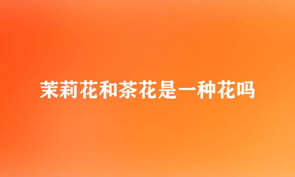 茉莉花和茶花是一种花吗