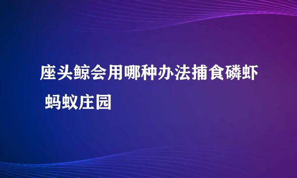 座头鲸会用哪种办法捕食磷虾 蚂蚁庄园