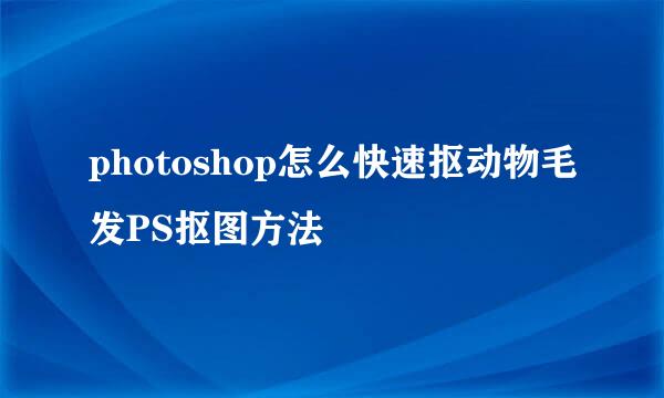 photoshop怎么快速抠动物毛发PS抠图方法