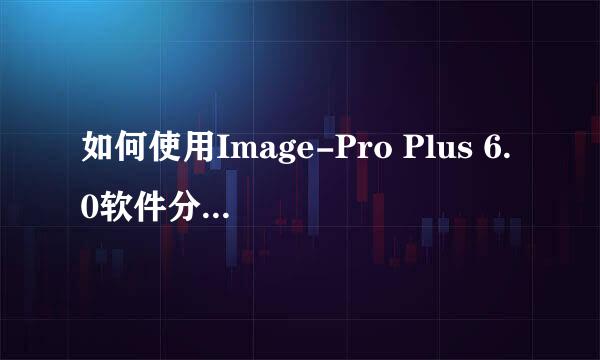 如何使用Image-Pro Plus 6.0软件分析免疫组化