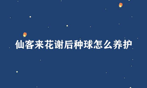 仙客来花谢后种球怎么养护