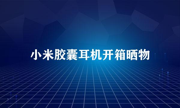 小米胶囊耳机开箱晒物