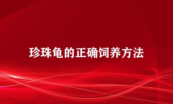 珍珠龟的正确饲养方法