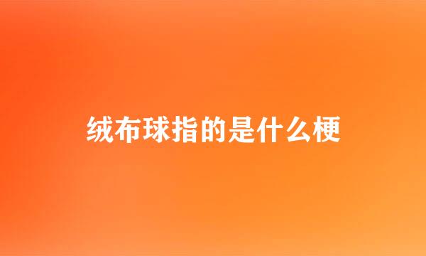 绒布球指的是什么梗