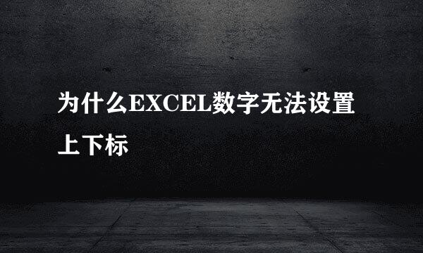 为什么EXCEL数字无法设置上下标