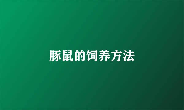 豚鼠的饲养方法