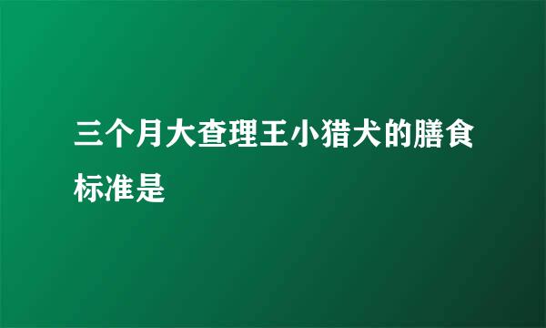 三个月大查理王小猎犬的膳食标准是