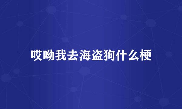 哎呦我去海盗狗什么梗