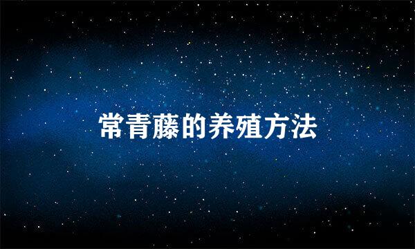 常青藤的养殖方法