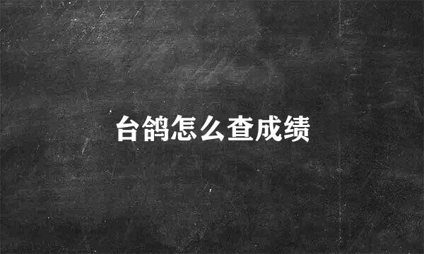 台鸽怎么查成绩
