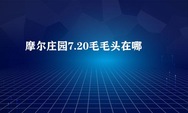 摩尔庄园7.20毛毛头在哪