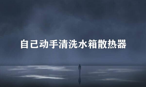 自己动手清洗水箱散热器