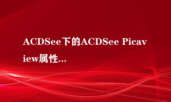 ACDSee下的ACDSee Picaview属性如何关闭