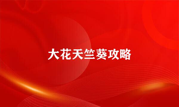 大花天竺葵攻略