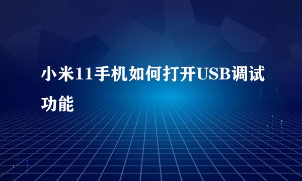 小米11手机如何打开USB调试功能