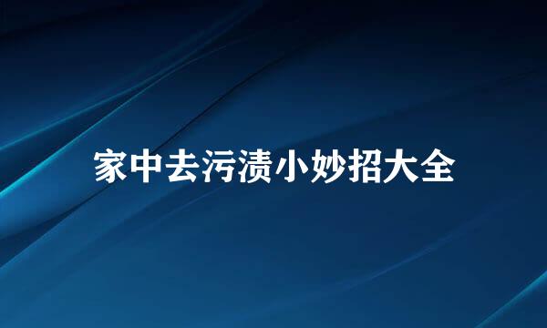 家中去污渍小妙招大全