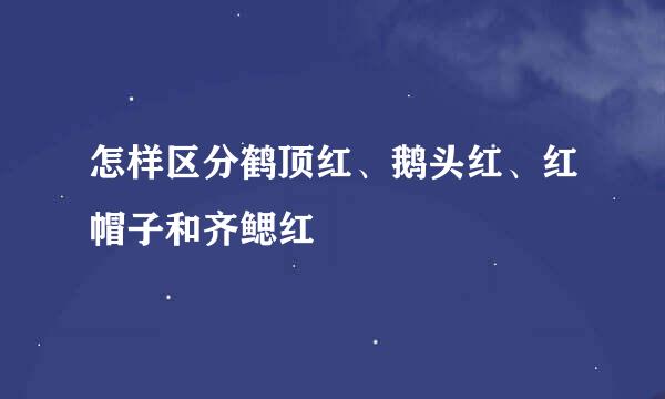 怎样区分鹤顶红、鹅头红、红帽子和齐鳃红