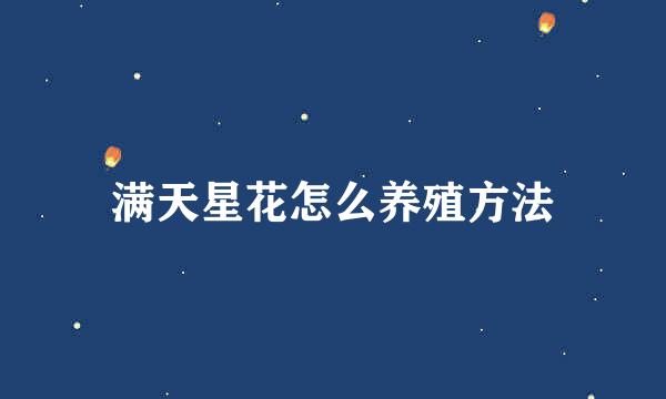 满天星花怎么养殖方法