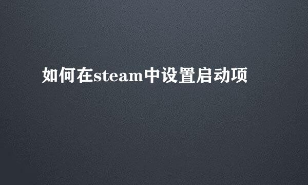 如何在steam中设置启动项
