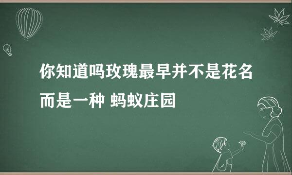 你知道吗玫瑰最早并不是花名而是一种 蚂蚁庄园