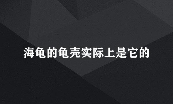 海龟的龟壳实际上是它的