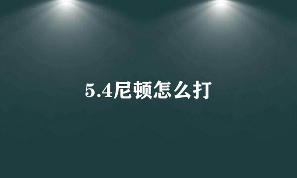 5.4尼顿怎么打