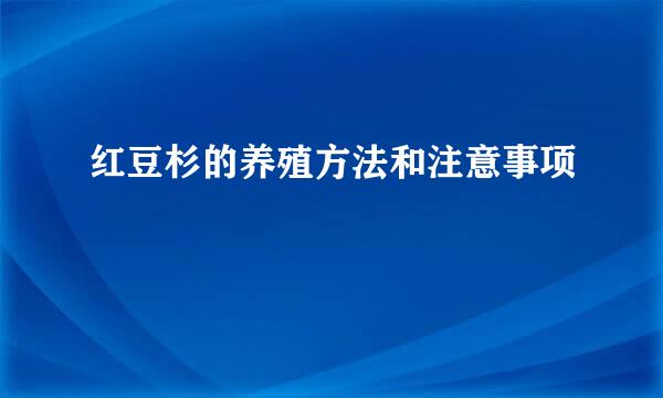 红豆杉的养殖方法和注意事项