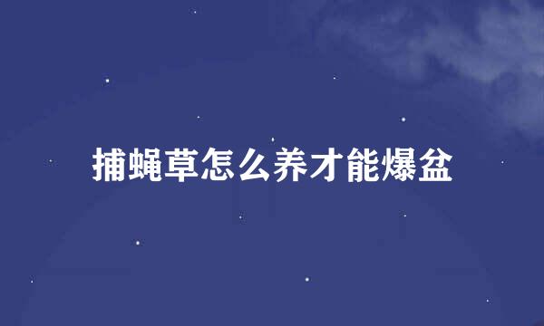 捕蝇草怎么养才能爆盆