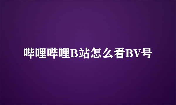 哔哩哔哩B站怎么看BV号