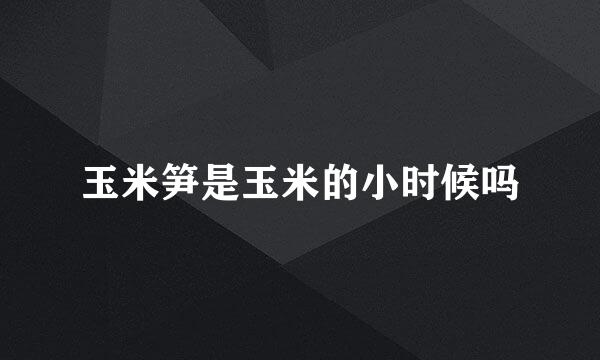 玉米笋是玉米的小时候吗