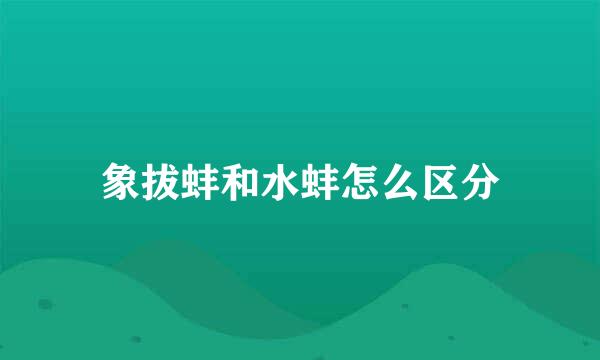 象拔蚌和水蚌怎么区分