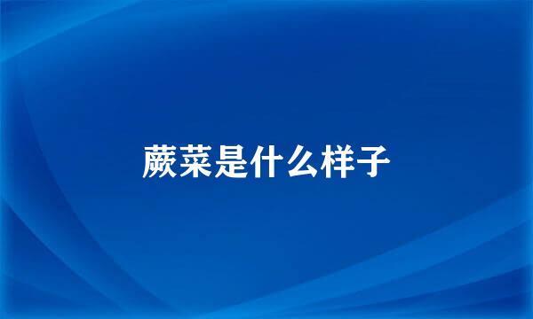 蕨菜是什么样子