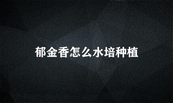 郁金香怎么水培种植