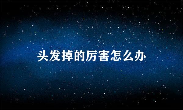 头发掉的厉害怎么办