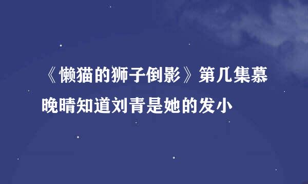 《懒猫的狮子倒影》第几集慕晚晴知道刘青是她的发小