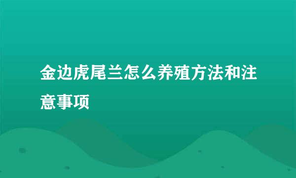金边虎尾兰怎么养殖方法和注意事项