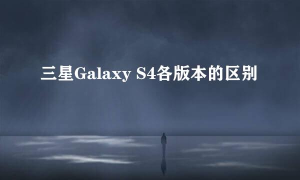三星Galaxy S4各版本的区别