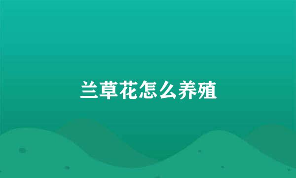 兰草花怎么养殖