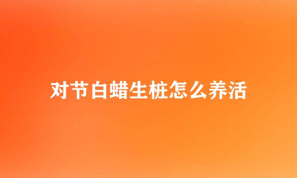 对节白蜡生桩怎么养活