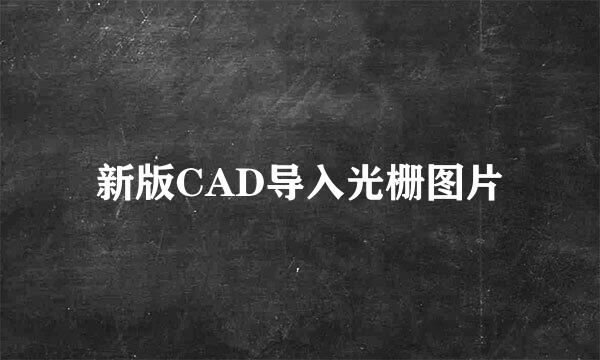 新版CAD导入光栅图片