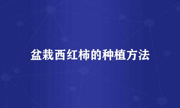 盆栽西红柿的种植方法