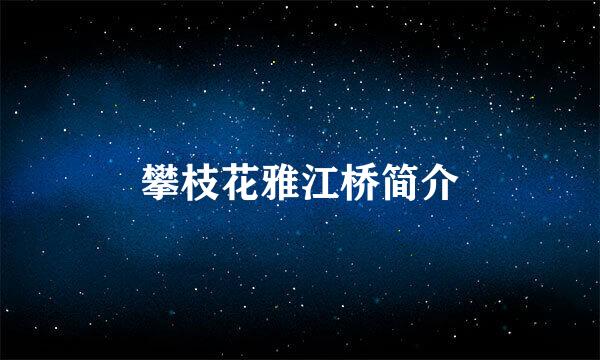 攀枝花雅江桥简介