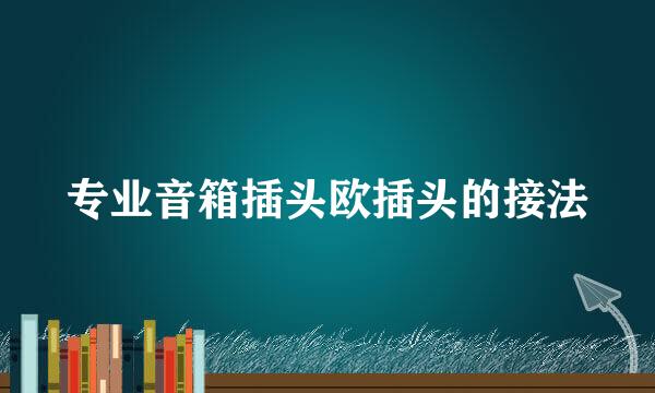 专业音箱插头欧插头的接法