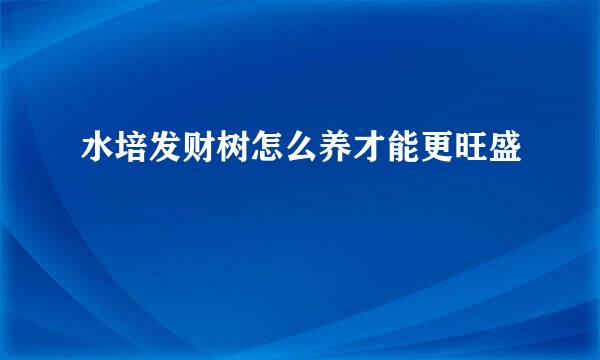 水培发财树怎么养才能更旺盛