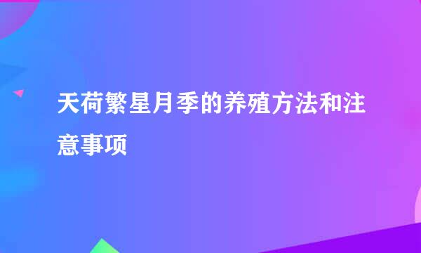 天荷繁星月季的养殖方法和注意事项